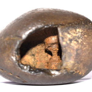 Urvi Varaha Shaligram