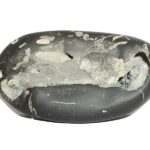 RajaRajeshwara Shaligram
