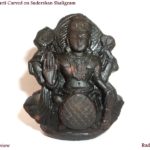 Kurma Shaligram Murti