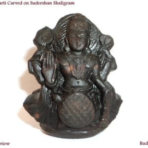 Kurma Idols Carved On Natural Shaligrams