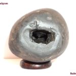 Chitravarna Matsya Shaligram