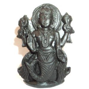 Matysa Idols Carved On Natural Shaligrams