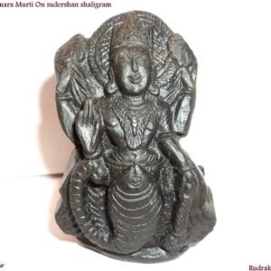ShimShumara Idols Carved On Natural Shaligrams