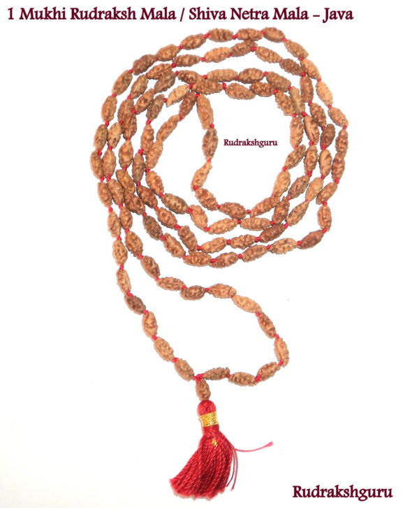 Shiva Netra Mala - 109 Beads