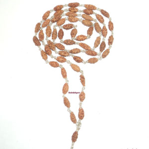 Shiva Netra Mala - 55 Beads