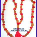 1 Mukhi Shiva Netra Mala