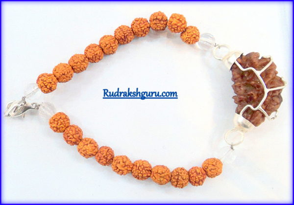 1 Mukhi Rudraksha Bracelet