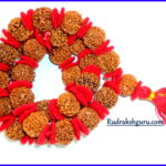 8 Mukhi Rudraksha Kantha