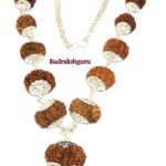 Siddha Mala - Collector Side