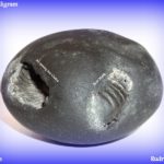 Rama Shaligram