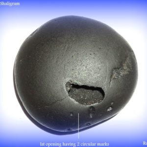 ShyamaVarna Trivikrama Shaligram