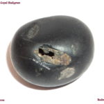 Govardhana Gopala Shaligram