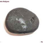 Lakshmi Varaha Shaligram