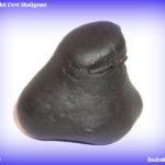 Mahashakti Devi Shaligram