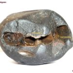 Taraka Brahma Sita Rama Shaligram