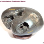 Kamsa Mardana Krishna Shaligram