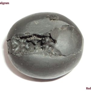 Bhulabha Vamana Shaligram