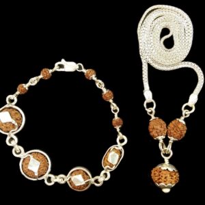 Study Success Combination