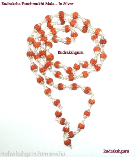 Rudraksha Mala In Silver - 55 Beads