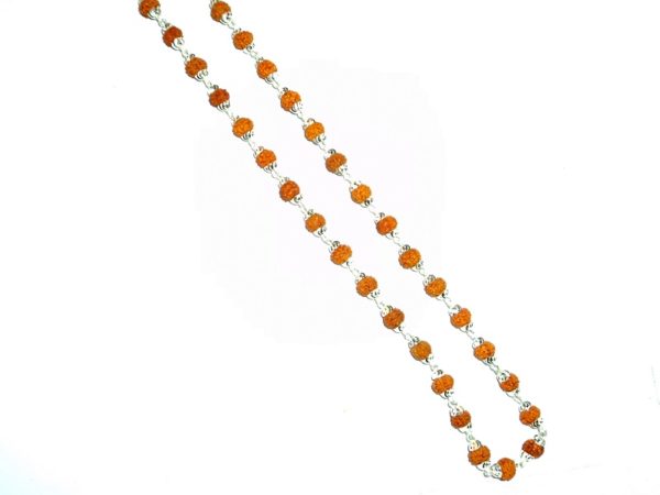 Rudraksha Mala In Silver - 55 beads