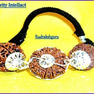 Combination Of 4 Mukhi , 6 Mukhi , 8 mukhi Rudraksha In Silver