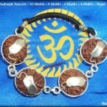 Combination Of 4 Mukhi , 6 Mukhi , 8 mukhi , 10 mukhi Rudraksha In Silver