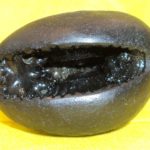 Kapila Narasimha Shaligram