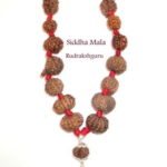 Siddha Mala - Collector Size
