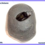 GarudaMurti shaligram