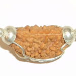 One Mukhi Half Moon Shape Rudraksha