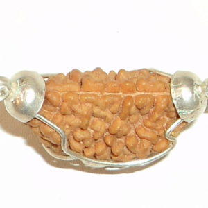 1 Mukhi Beads