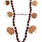 Carrer Success Level - 2