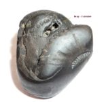 NirvanaPurva Buddha Shaligram