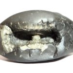 Putrapradayaka Kurma Shaligram
