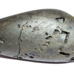 ChitraVarna Matsya Shaligram