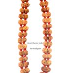 Gauri Shankar Kantha - Java