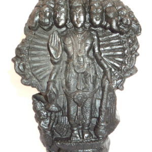 VishwaRoopa Murti Carved On Sudarshan Shaligram