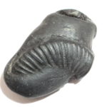 Shushirankita Matsya Shaligram