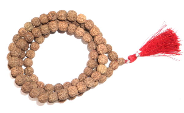 Rudraksha Pathri Beads Mala - 109 Beads