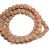 Rudraksha Pathri Mala - 109 Beads