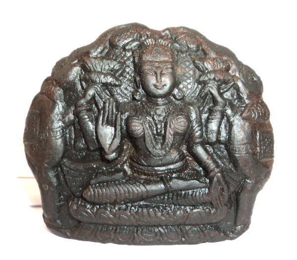Gaja Lakshmi Murti Carved on Sudarshan Shaligram