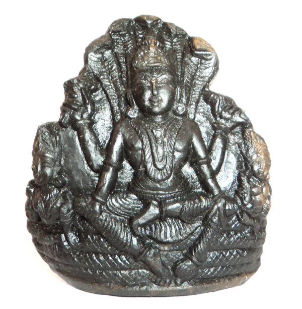 Lord Vishnu With Sridevi and Bhudevi Carved on Natural Sudarshan shaligram
