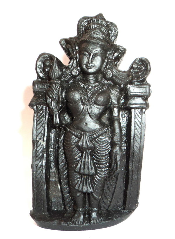 Laxmi Murti Carved on Sudarshan Shaligram