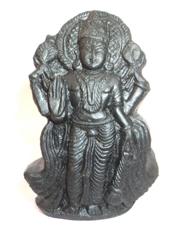 Satya Narayana Murti Carved on Sudarshan Shaligram