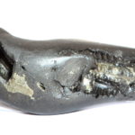 Sushirankita Matsya Salagram