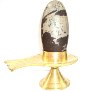 Narmadeshwar Shiva Lingam