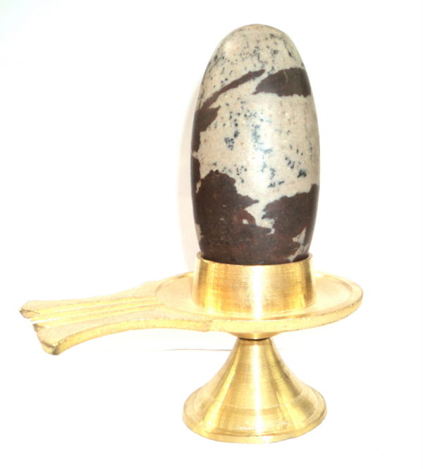 Narmadeshwar Shiva Lingam