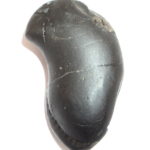 Shrivatsa Matsya Shaligram