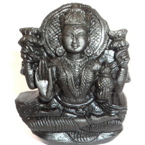 Goddess Lakshmi Murti Carved on Natural Sudarshan Shaligram