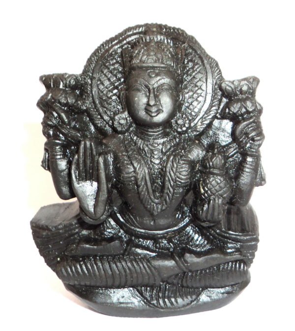 Goddess Lakshmi Murti Carved on Natural Sudarshan Shaligram